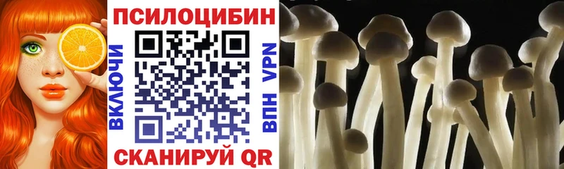 мега ССЫЛКА  купить  сайты  Жирновск  Псилоцибиновые грибы мухоморы 